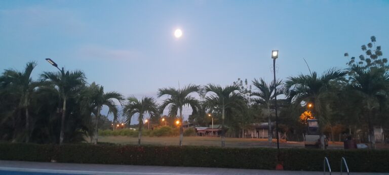 20250810_053916 - luis fernando betancourt daza