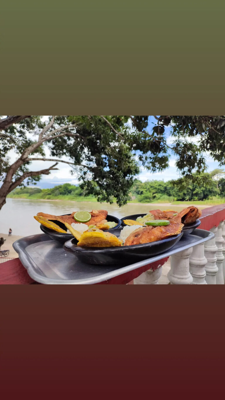 76F15E1C-E6A8-49D2-BCCE-9351951ACE53 - Juliana Bermúdez