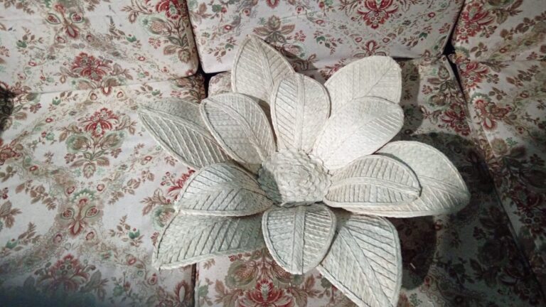 8f270895-355c-4042-abd3-f3a739c9205a - Astrid Quintero