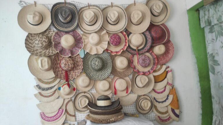 IMG-20250219-WA0017 - Luis Vergara