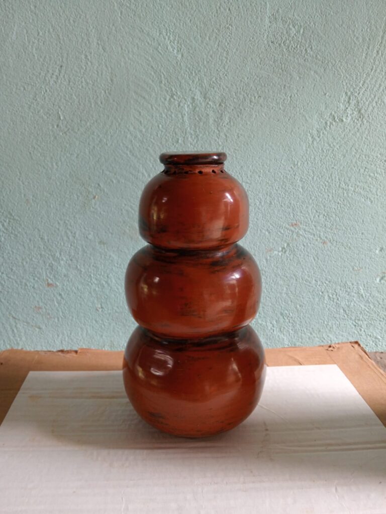 IMG-20250318-WA0031 - Francisco Alcala V