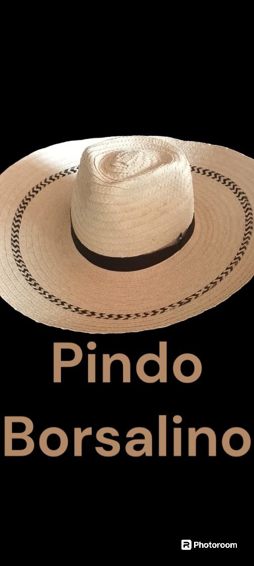 IMG-20250526-WA0019 - Luz stella Hernandez