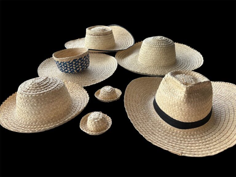 IMG-20250810-WA0003 - Corporación de artesanos Palma real