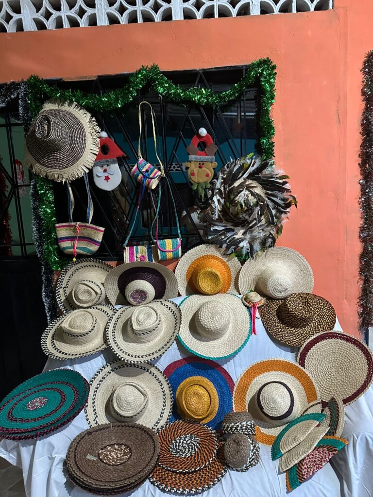 IMG-20251211-WA0000 - marleny castro