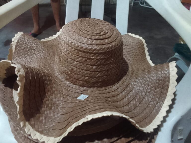 IMG-20251217-WA0012 - Luis Vergara