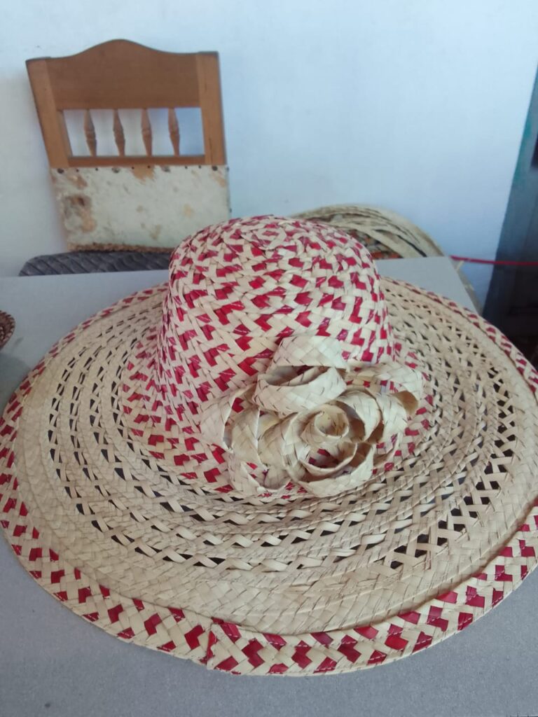 IMG-20251217-WA0013 - Luis Vergara