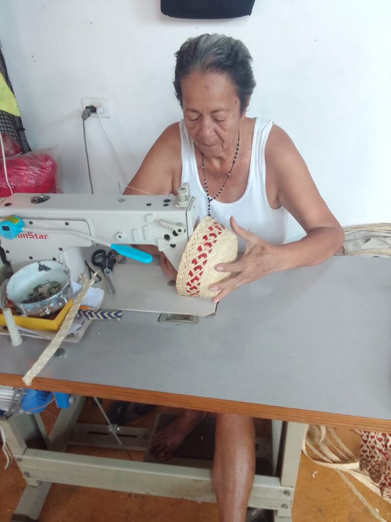 IMG-20251217-WA0014 - Luis Vergara