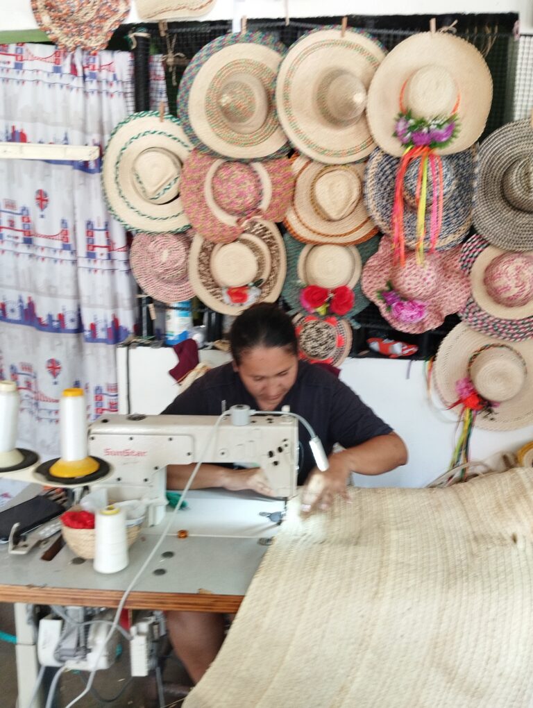 IMG_20251112_125339 - Luis Vergara