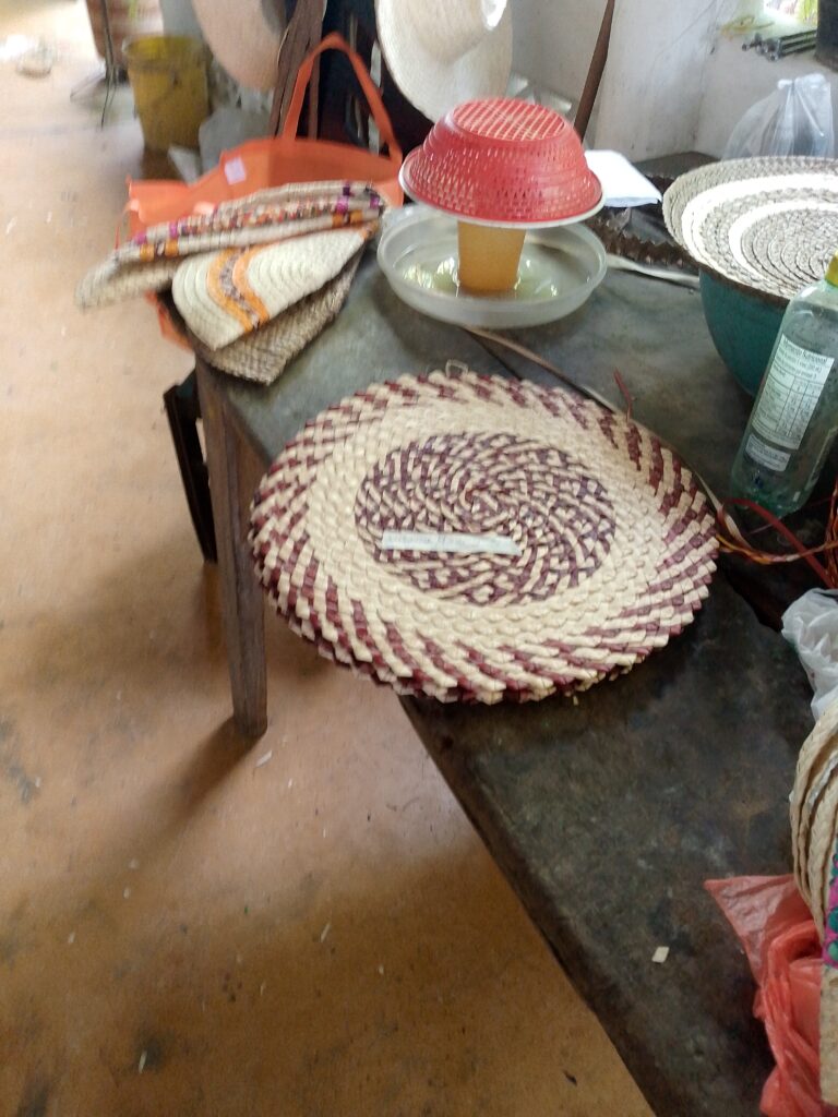 IMG_20251118_154708718_BURST0001_COVER - Susanna Rodriguez