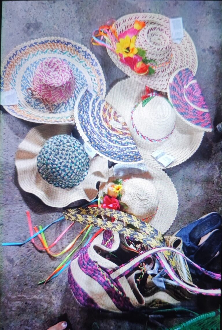 IMG_20251217_113905 - Luis Vergara