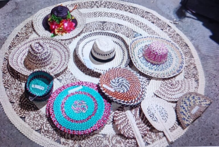 IMG_20251217_113921 - Luis Vergara