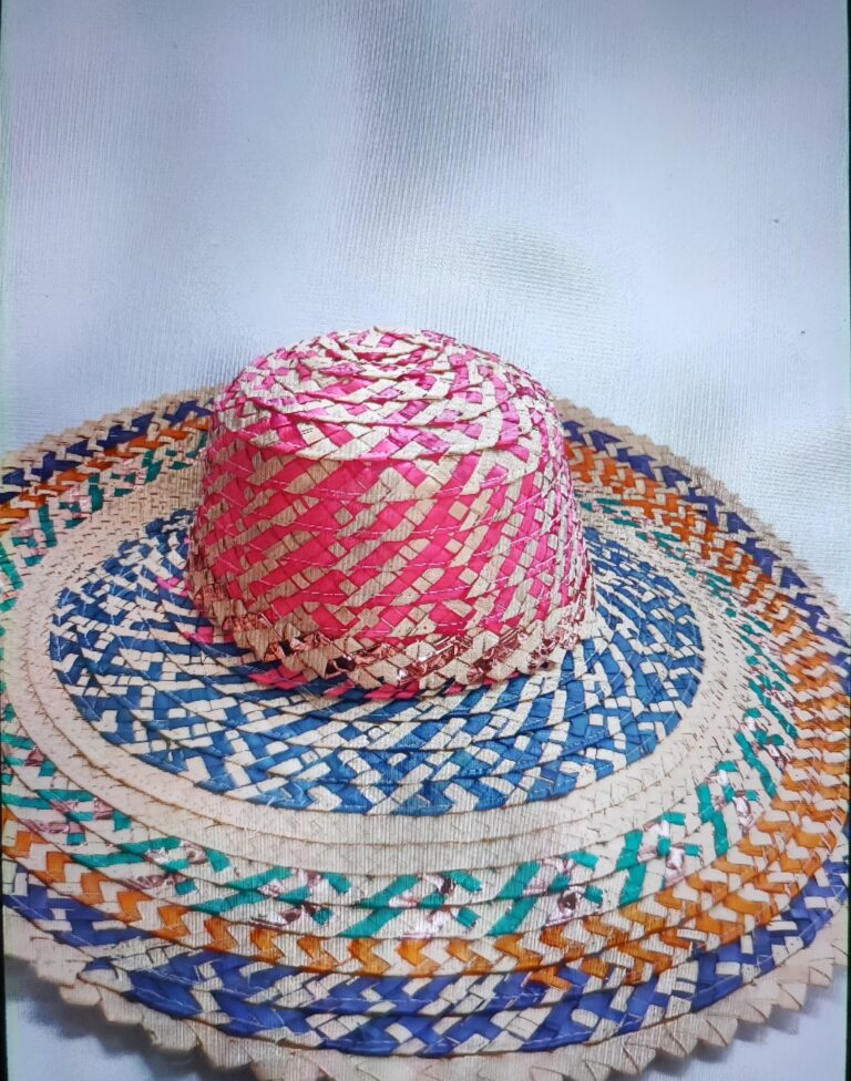 IMG_20251217_113946 - Luis Vergara