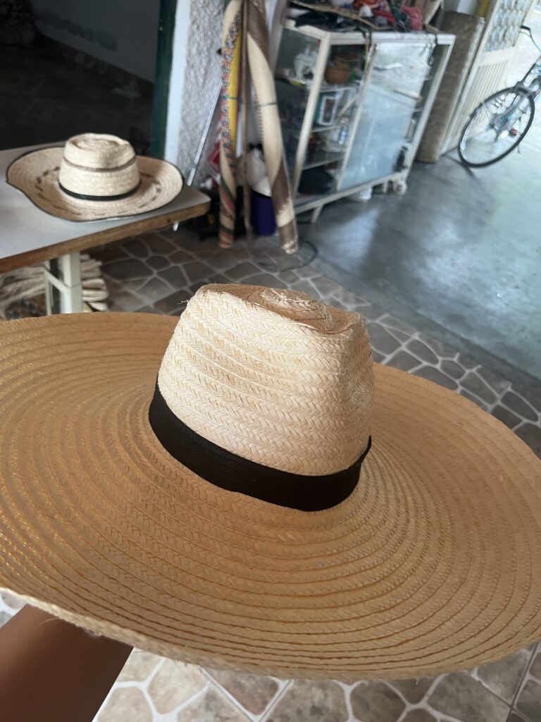 IMG_5926 - Gina Torres