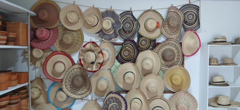 WhatsApp Image 2025-12-03 at 11.41