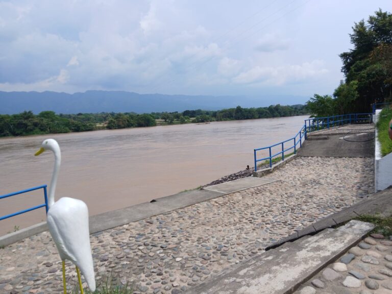 WhatsApp Image 2025-12-03 at 11.41