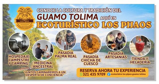 WhatsApp Image 2025-12-05 at 3.22