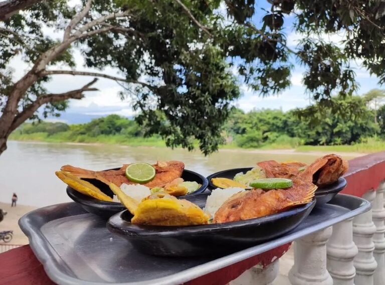 WhatsApp Image 2025-12-06 at 11.42