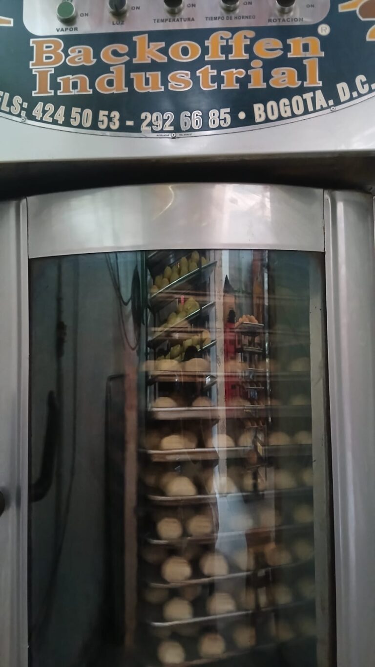 WhatsApp Image 2025-12-08 at 1.00