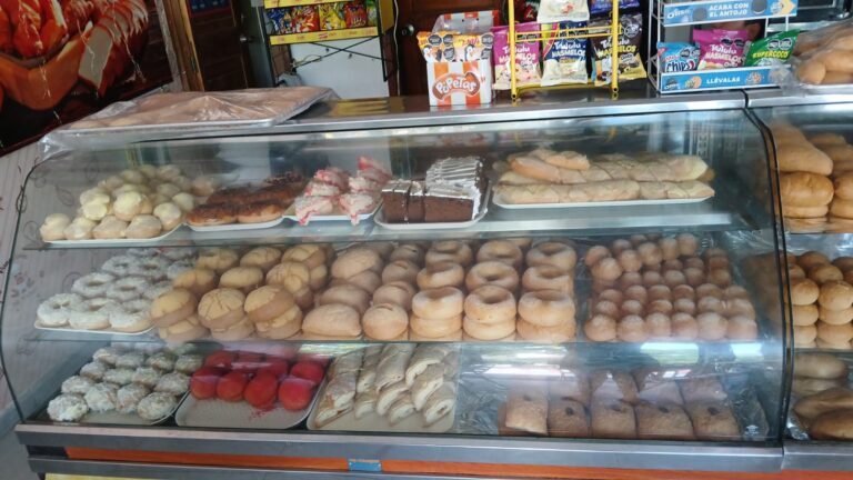 WhatsApp Image 2025-12-08 at 12.59