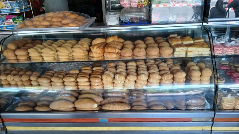 WhatsApp Image 2025-12-08 at 12.59