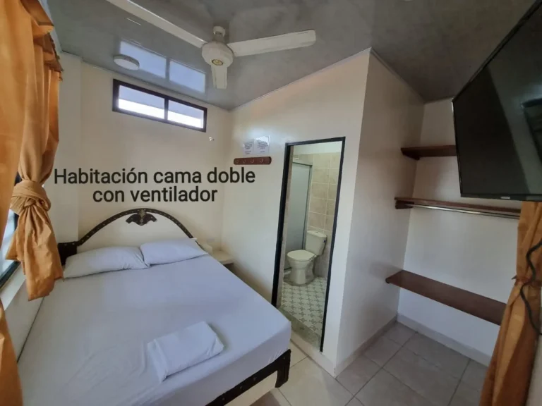 WhatsApp Image 2026-01-08 at 3.32