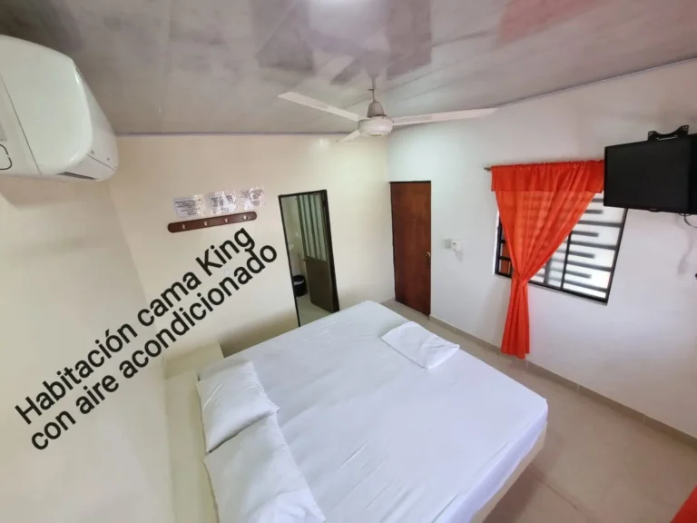 WhatsApp Image 2026-01-08 at 3.32