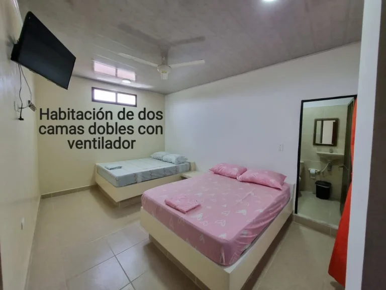 WhatsApp Image 2026-01-08 at 3.32