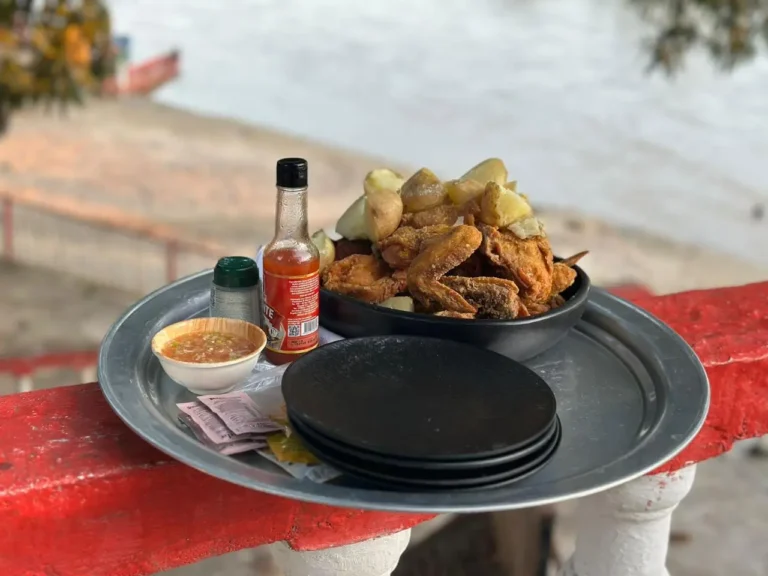 WhatsApp Image 2026-02-09 at 2.40