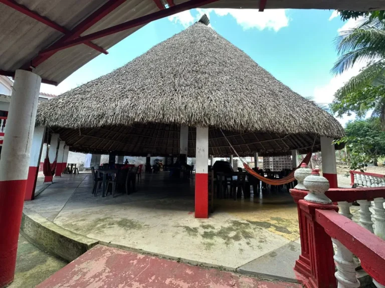 WhatsApp Image 2026-02-09 at 2.40